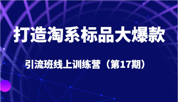 打造淘系标品大爆款引流班线上训练营（第17期）5天直播授课+1个月答疑-副业库