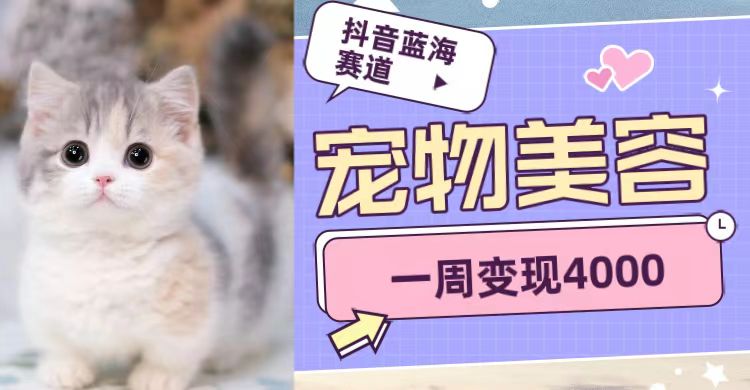 抖音蓝海赛道，宠物美容，一周变现4000-副业库