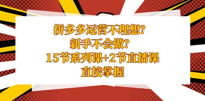 拼多多运营不理想？新手不会做？15节系列课+2节直播课学会直接掌握-副业库