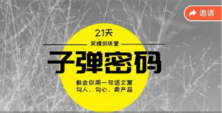《子弹密码训练营》用一句话文案勾人勾心卖产品，21天学到顶尖文案大师策略和技巧-副业库