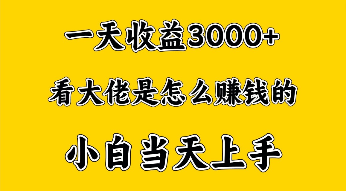一天赚3000多，大佬是这样赚到钱的，小白当天上手，穷人翻身项目-副业库