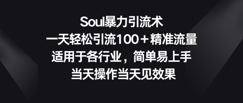 Soul暴力引流术，一天轻松引流100＋精准流量，适用于各行业，简单易上手！-副业库
