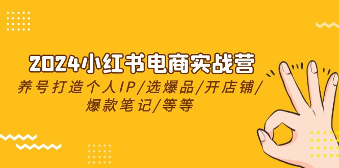 2024小红书电商实战营，养号打造IP/选爆品/开店铺/爆款笔记/等等（24节）-副业库