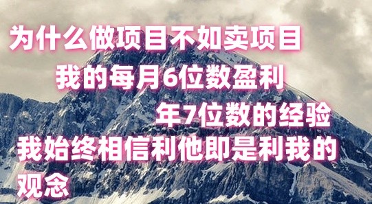 做项目不如卖项目，每月6位数盈利，年7位数经验-副业库