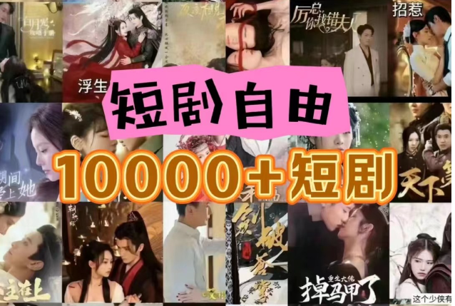打造完全属于自己的个人短剧库，实现网盘拉新与私域变现的完美融合！-副业库