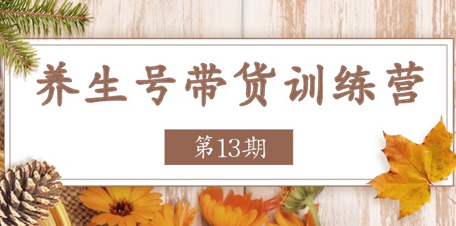 养生号带货训练营【第13期】收益更稳定的玩法，让你带货收益爆炸-副业库