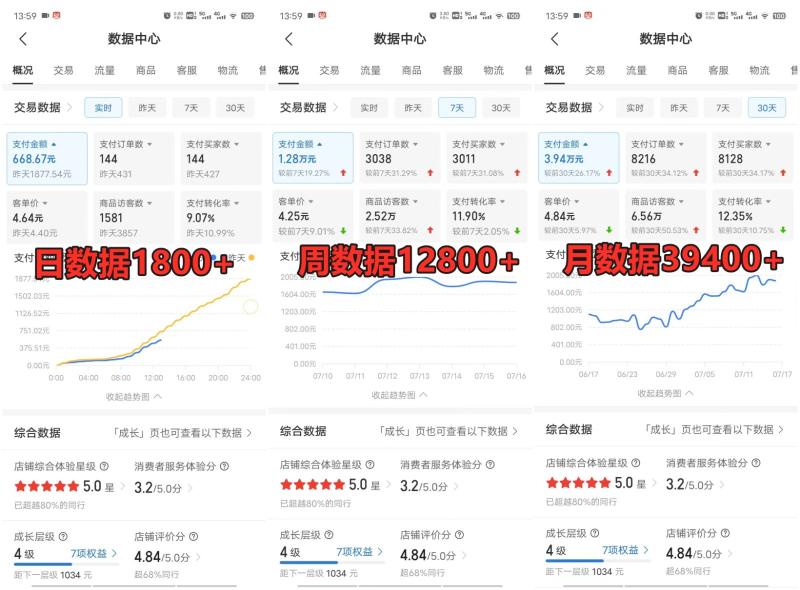 图片[3]-拼多多虚拟电商训练营月入50000+你也行，暴利稳定长久，副业首选-副业库