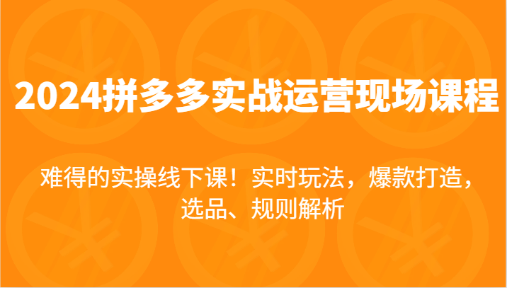 2024拼多多实战运营现场课，实时玩法，爆款打造，选品、规则解析，难得的实操线下课！-副业库