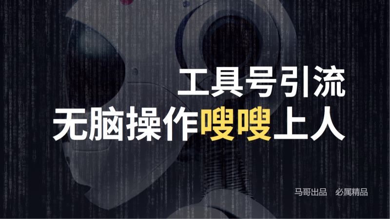 工具号高效引流法，嗖嗖上人，日引1000+，直接搬运，无脑操作-副业库
