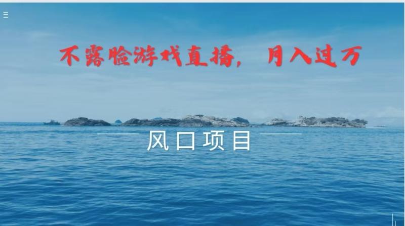 不露脸不出镜，玩转找茬游戏，普通人实现月入过万的好项目-副业库