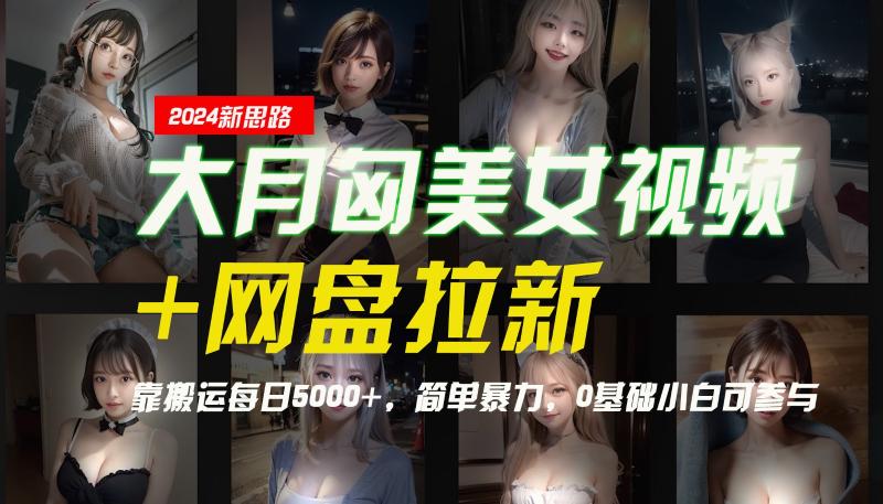 【新思路】大月匈美女视频+网盘拉新，靠搬运每日5000+，简单暴力，0基础小白可参与-副业库