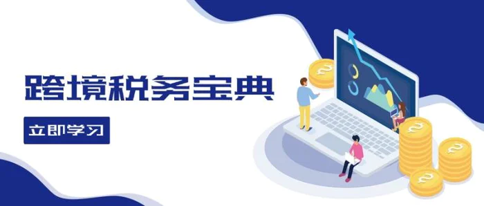 跨境税务宝典教程：跨境电商全球税务处理策略-副业库