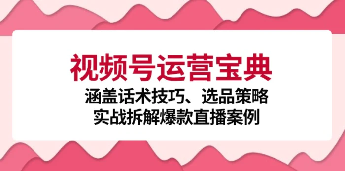 视频号运营宝典：涵盖话术技巧、选品策略、实战拆解爆款直播案例-副业库