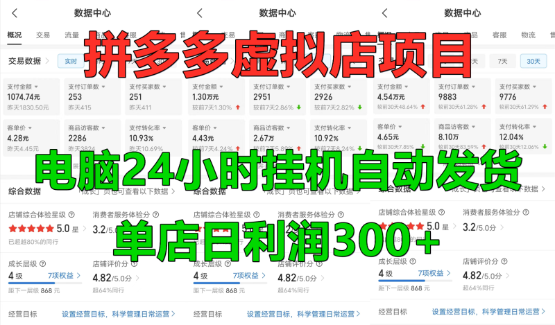 拼多多虚拟店铺项目，电脑挂机自动发货，单店日利润300+-副业库