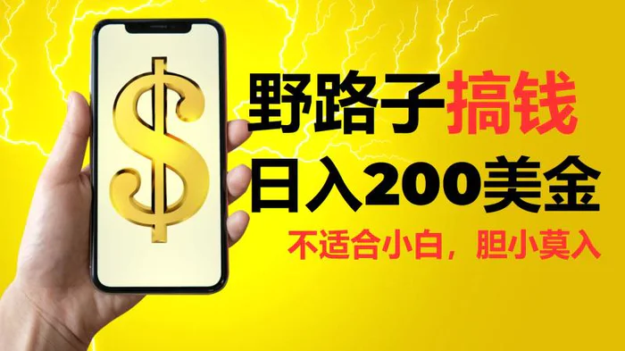 挂机野路子搞钱，日入200美金，路子很野，小白莫入-副业库