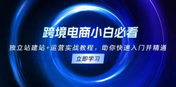 跨境电商小白必看！独立站建站+运营实战教程，助你快速入门并精通-副业库
