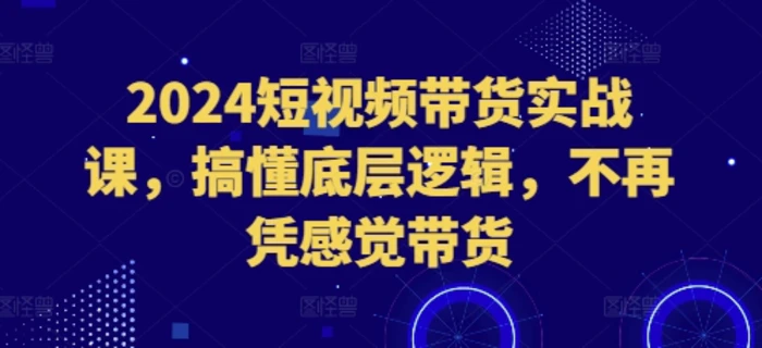 2024短视频带货实战课，搞懂底层逻辑，不再凭感觉带货-副业库
