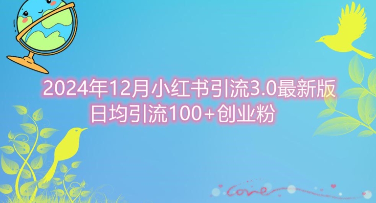2024年12月小红书引流最新版，日均引流100+创业粉-副业库