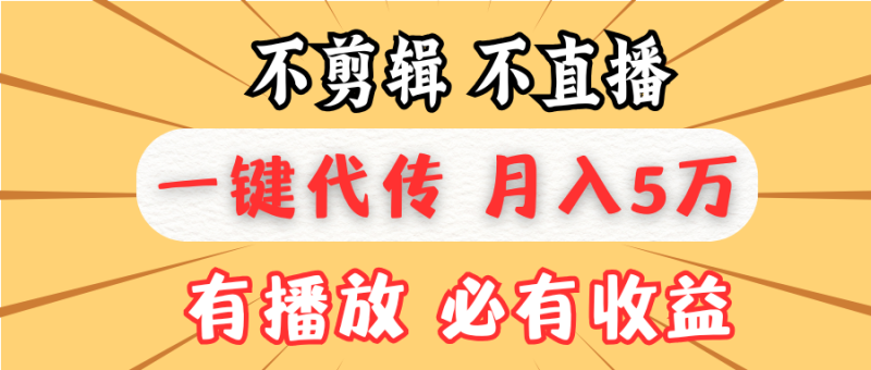 （13555期）不剪辑不直播，一键代发，月入5万懒人必备，我出视频你来发-副业库