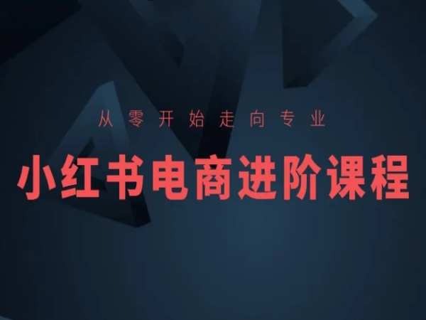 从零开始走向专业，小红书电商进阶课程-副业库