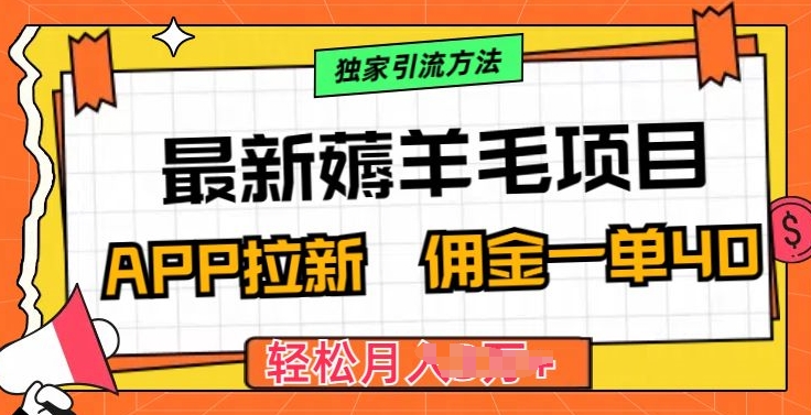 最新薅羊毛项目，利用购物APP拉新，佣金一单40.配合独家引流方法-副业库