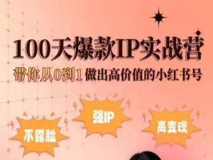 小红书100天爆款IP实战营，带你从0到1做出高价值的小红书号-副业库