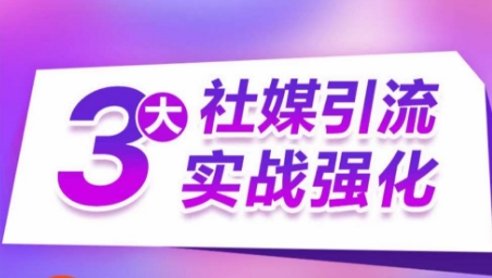 3大社媒引流实战强化，多渠道站外引流，高效精准获客，订单销售额翻倍增长-副业库