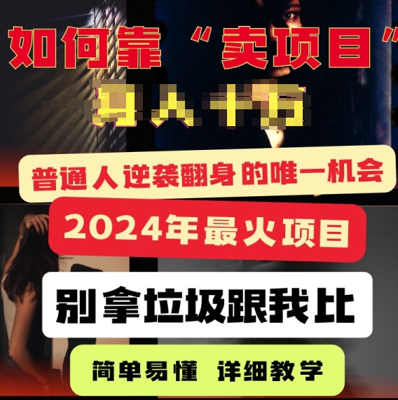 2024年最火项目，如何靠“卖项目”逆装翻身，简单易懂 详细教学 完整版5节课-副业库