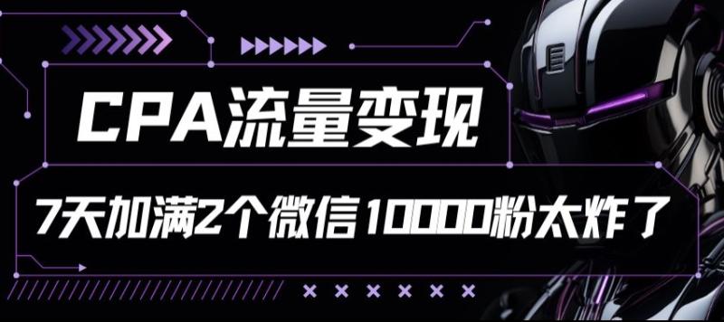 CPA流量变现7天加满两个微信10000粉-副业库