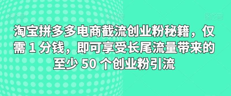 淘宝拼多多电商截流创业粉秘籍，仅需 1 分钱，即可享受长尾流量带来的至少 50 个创业粉引流-副业库