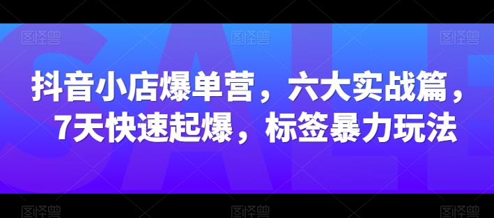 抖音小店爆单营，六大实战篇，7天快速起爆，标签暴力玩法-副业库