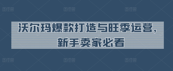 沃尔玛爆款打造与旺季运营，新手卖家必看-副业库