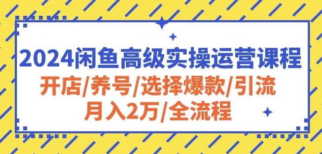 2024闲鱼高级实操运营课程：开店/养号/选择爆款/引流/月入2万/全流程-副业库