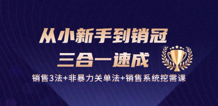 从小新手到销冠 三合一速成：销售3法+非暴力关单法+销售系统挖需课 (27节)-副业库