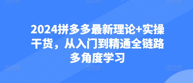 2024拼多多最新理论+实操干货，从入门到精通全链路多角度学习-副业库