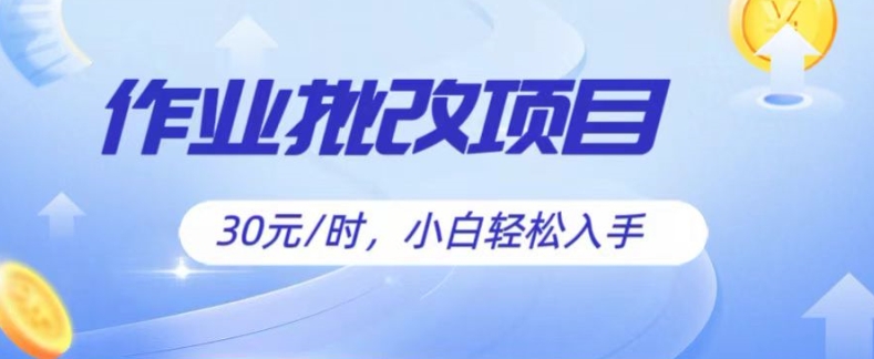 批改作业项目，30元时，简单容易上手，适合宝妈，大学生-副业库