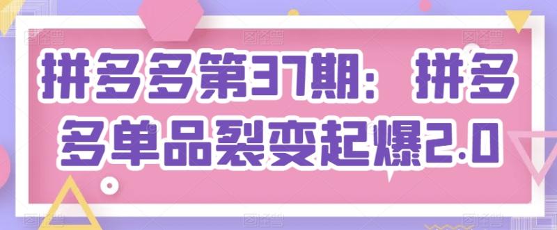 拼多多第37期：拼多多单品裂变起爆2.0-副业库