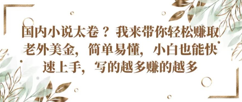 国内小说太卷 ?带你轻松赚取老外美金，简单易懂，小白也能快速上手，写的越多赚的越多【揭秘】-副业库