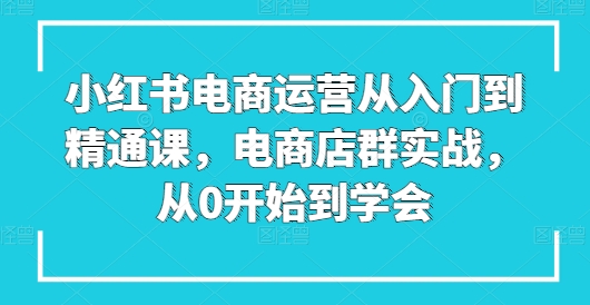 小红书电商运营从入门到精通课，电商店群实战，从0开始到学会-副业库