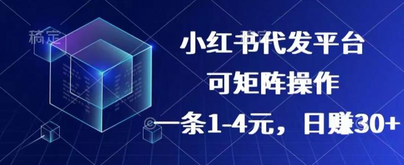 【小红书+抖音】代发平台，一条1~4元，日赚30+的靠谱小项目，可矩阵操作-副业库