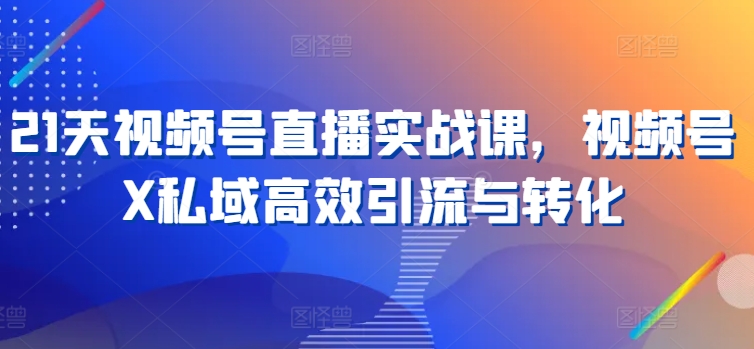 21天视频号直播实战课，视频号X私域高效引流与转化-副业库