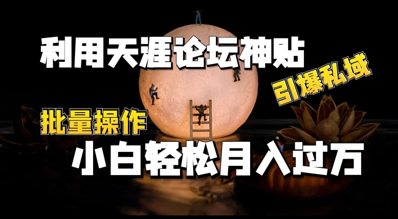 利用天涯论坛神贴，引爆私域，批量操作，小白轻松月入过w【揭秘】-副业库