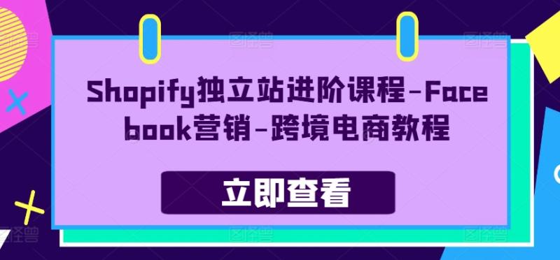 Shopify独立站进阶课程-Facebook营销-跨境电商教程-副业库