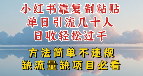 小红书靠复制粘贴单日引流几十人目收轻松过千，方法简单不违规-副业库
