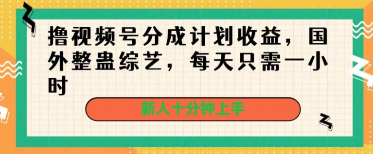 撸视频号分成计划收益，国外整蛊综艺，每天只需一小时，新人十分钟上手-副业库