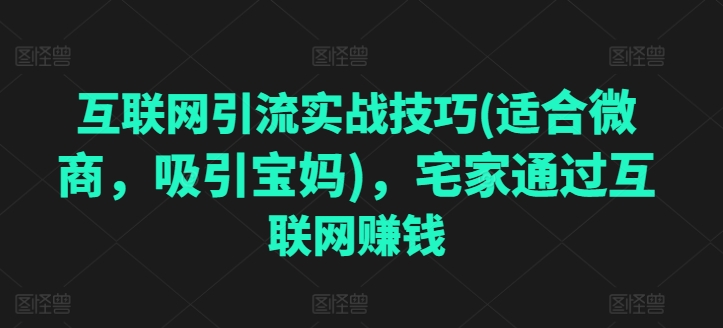 互联网引流实战技巧(适合微商，吸引宝妈)，宅家通过互联网赚钱-副业库