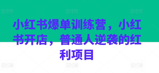 小红书爆单训练营，小红书开店，普通人逆袭的红利项目-副业库