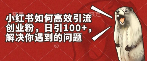 小红书如何高效引流创业粉，日引100+，解决你遇到的问题【揭秘】-副业库