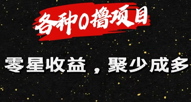 各种0撸项目零星收益，聚少成多-副业库