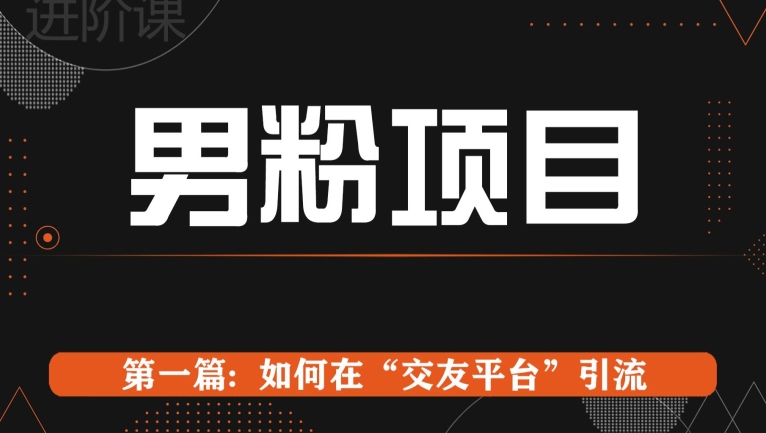 男粉项目系列课程第一篇: Soul暴力引流-副业库